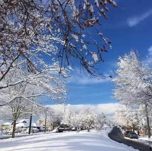 Meet your Posher, Zichao